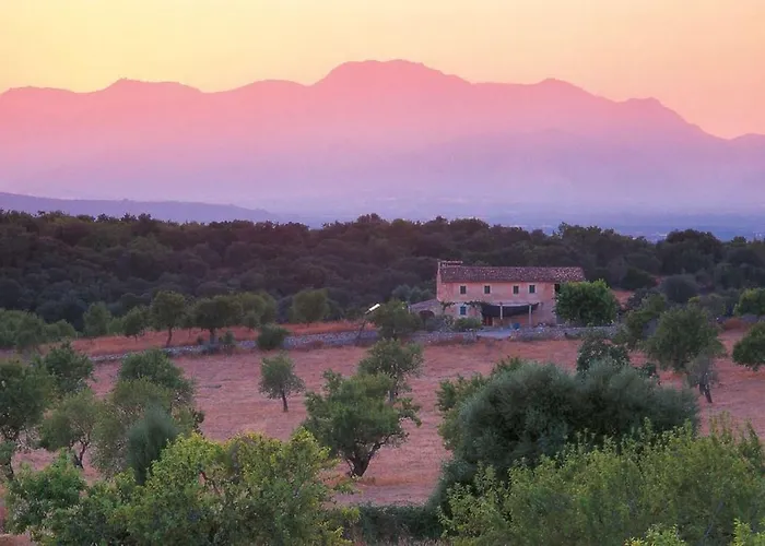 ヴィラ Pontarro By Sealand *